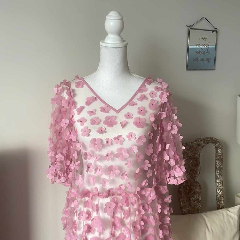Hunkon Sheer Flower Dress - Picture 3 of 6